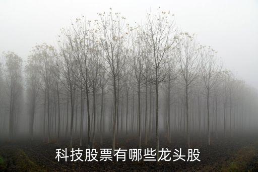 科技股票有哪些龍頭股