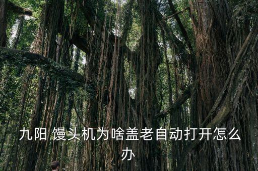  九陽 饅頭機(jī)為啥蓋老自動打開怎么辦