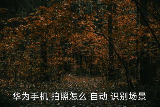拍照自動識別什么產(chǎn)品,點(diǎn)擊智能對象識別按鈕即可開啟