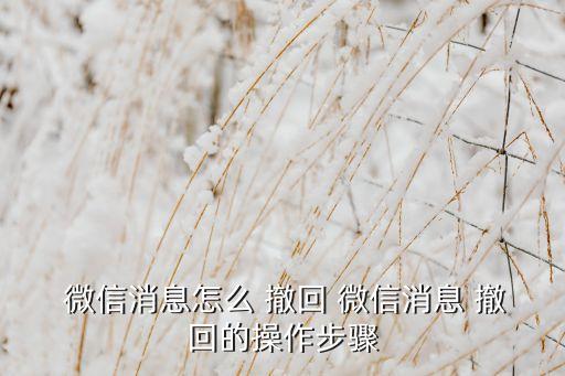  微信消息怎么 撤回 微信消息 撤回的操作步驟