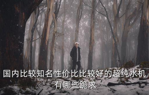 國內比較知名性價比比較好的超純水機 有哪些跪求