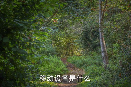 移動(dòng)設(shè)備是什么