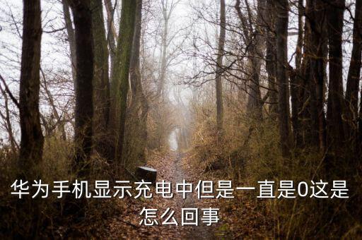 華為手機顯示充電中但是一直是0這是怎么回事