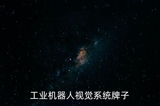 工業(yè)機(jī)器人視覺(jué)系統(tǒng)牌子