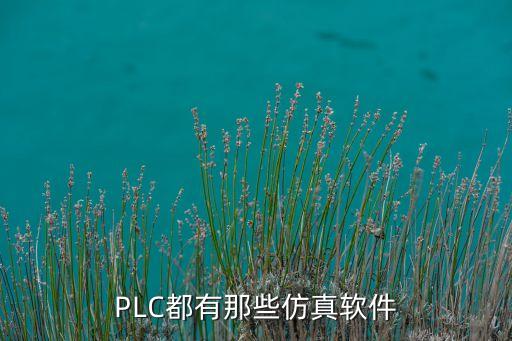 plc模擬仿真軟件，PLC  用什么軟件可以仿真
