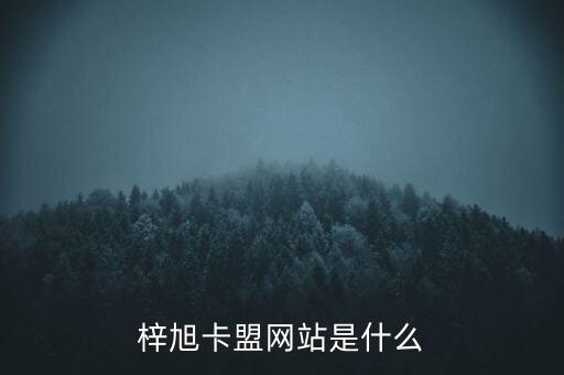 梓豪卡盟，梓旭卡盟樂卡站和那些地方能合作呢