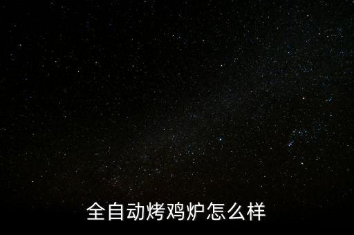 全自動烤雞爐怎么樣