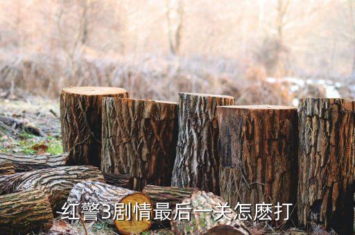 紅警3劇情最后一關(guān)怎麼打