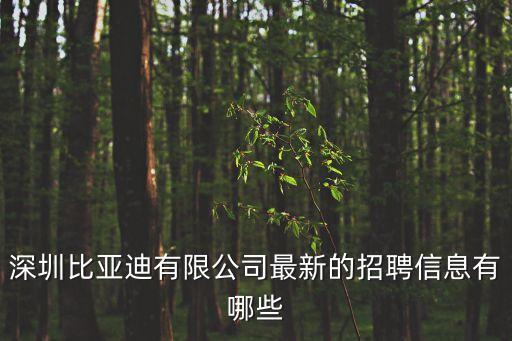 深圳比亞迪有限公司最新的招聘信息有哪些