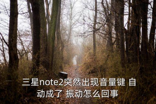 三星自動變成振動,三星手機(jī)振動怎么辦?