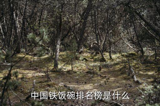 中國鐵飯碗排名榜是什么
