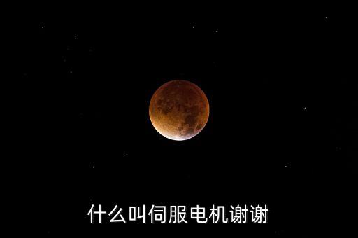 什么叫伺服電機(jī)謝謝