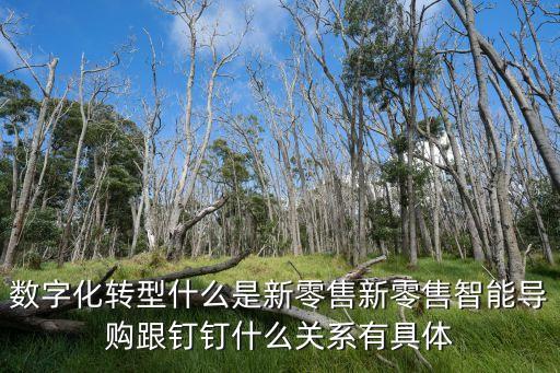 數(shù)字化轉(zhuǎn)型什么是新零售新零售智能導(dǎo)購(gòu)跟釘釘什么關(guān)系有具體