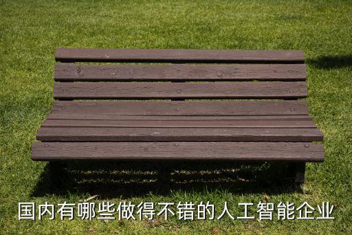 國內(nèi)有哪些做得不錯(cuò)的人工智能企業(yè)