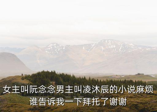 女主叫阮念念男主叫凌沐辰的小說(shuō)麻煩誰(shuí)告訴我一下拜托了謝謝