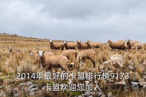 2014年最好的卡盟排行榜9173卡盟歡迎您加入
