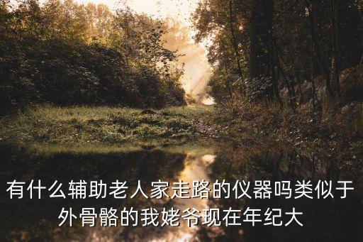 有什么輔助老人家走路的儀器嗎類似于外骨骼的我姥爺現(xiàn)在年紀(jì)大