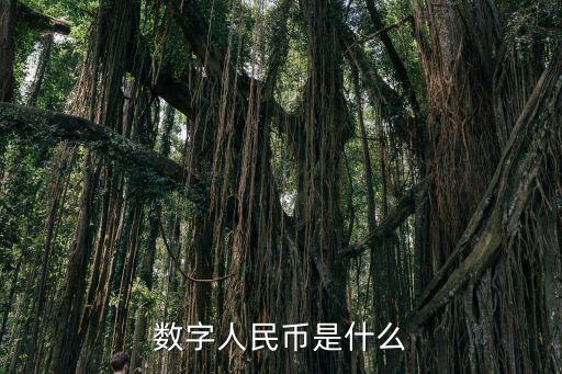 數(shù)字人民幣是什么