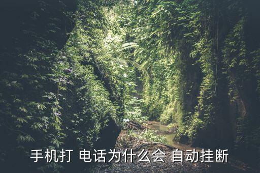 手機(jī)打 電話為什么會(huì) 自動(dòng)掛斷