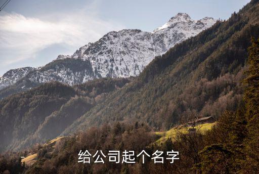 起名公司，給公司起個名字
