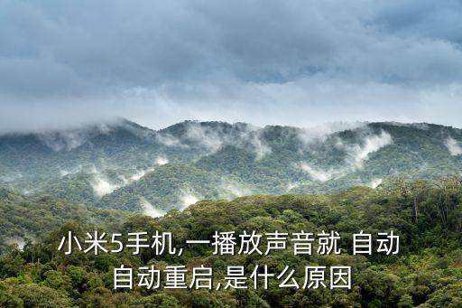  小米5手機(jī),一播放聲音就 自動(dòng) 自動(dòng)重啟,是什么原因