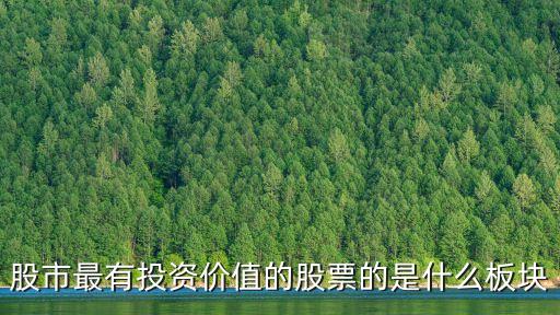 股市最有投資價(jià)值的股票的是什么板塊
