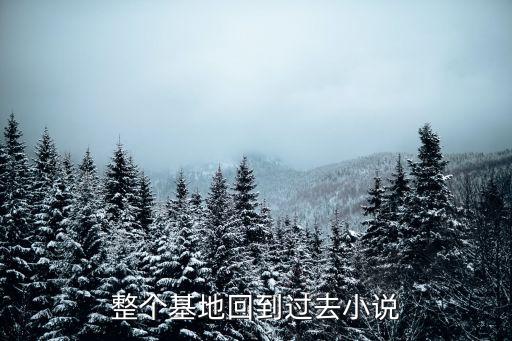 整個(gè)基地回到過(guò)去小說(shuō)