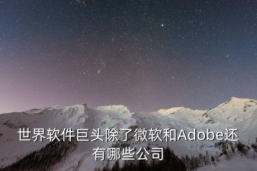 世界軟件巨頭除了微軟和Adobe還有哪些公司