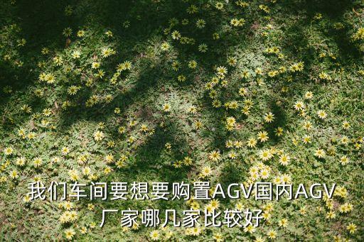 我們車間要想要購置AGV國內AGV廠家哪幾家比較好