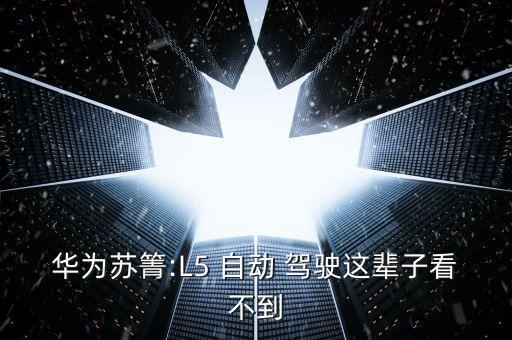 華為蘇箐:L5 自動 駕駛這輩子看不到