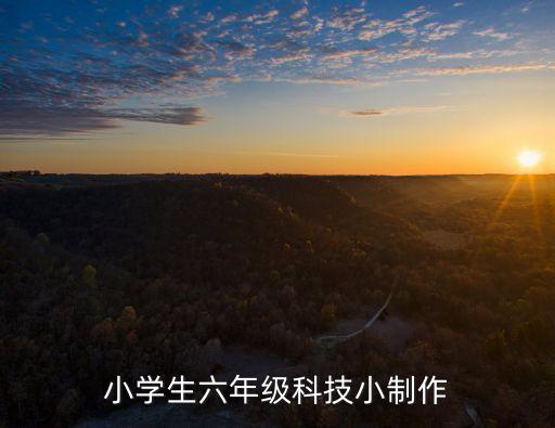 小學(xué)生六年級科技小制作