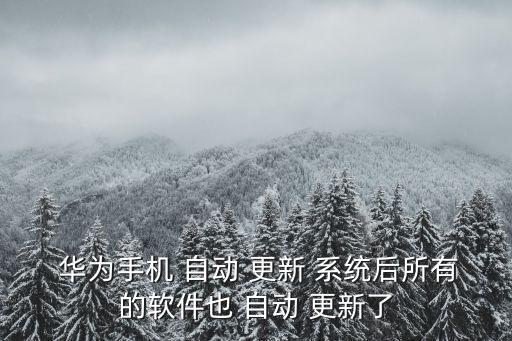  華為手機 自動 更新 系統(tǒng)后所有的軟件也 自動 更新了
