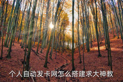 個(gè)人自動(dòng)發(fā)卡網(wǎng)怎么搭建求大神教