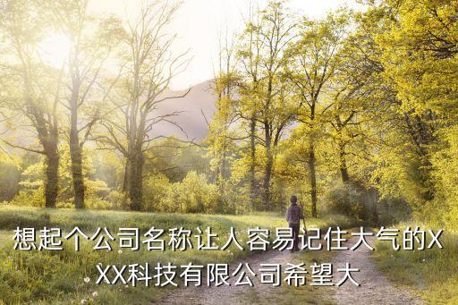 想起個公司名稱讓人容易記住大氣的XXX科技有限公司希望大