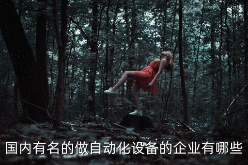 自動化有哪些公司，國內(nèi)有名的做自動化設(shè)備的企業(yè)有哪些