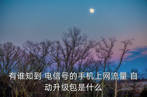 有誰知到 電信號的手機上網(wǎng)流量 自動升級包是什么