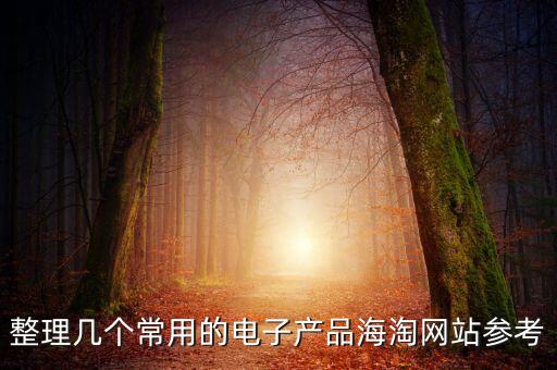 整理幾個(gè)常用的電子產(chǎn)品海淘網(wǎng)站參考