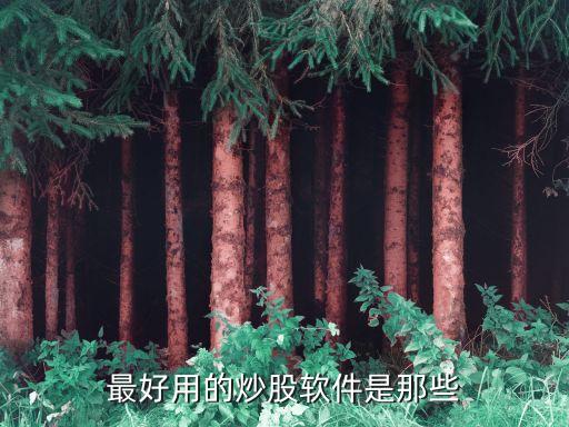 目前最好的炒股軟件，最好用的炒股軟件是那些