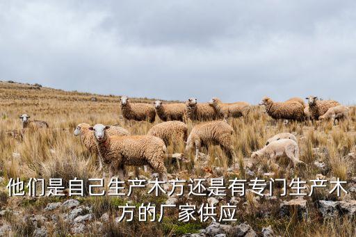 他們是自己生產(chǎn)木方還是有專(zhuān)門(mén)生產(chǎn)木方的廠家供應(yīng)