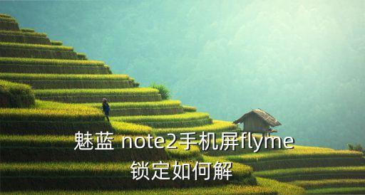  魅藍 note2手機屏flyme鎖定如何解