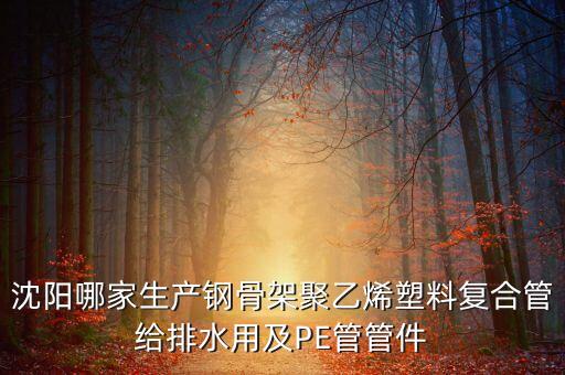 沈陽哪家生產(chǎn)鋼骨架聚乙烯塑料復(fù)合管給排水用及PE管管件