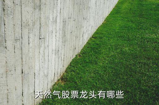 數(shù)字經(jīng)濟(jì)的股票有哪些龍頭，大數(shù)據(jù)概念股票龍頭股票有哪些