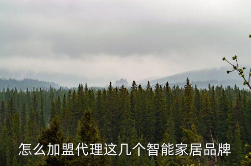 加盟智能產(chǎn)品，想加盟代理做智能硬件行業(yè)的產(chǎn)品有什么項(xiàng)目推薦