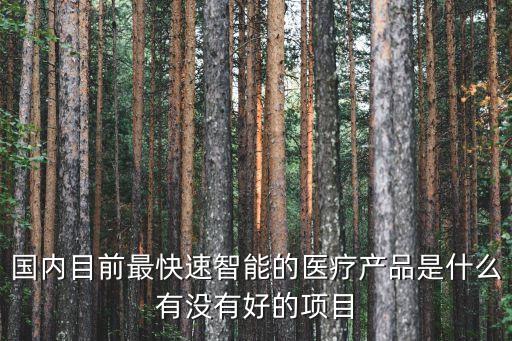 智能醫(yī)療，國內目前最快速智能的醫(yī)療產(chǎn)品是什么有沒有好的項目