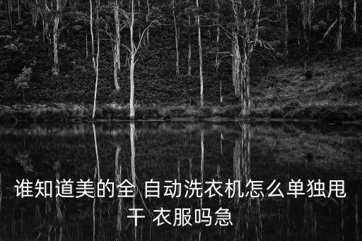 自動(dòng)衣服嗎,美的全自動(dòng)洗衣機(jī)怎么用?