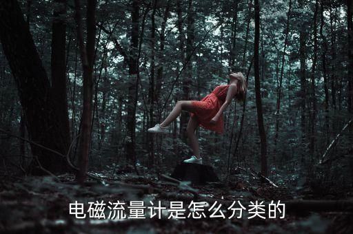 電磁流量計(jì)是怎么分類的