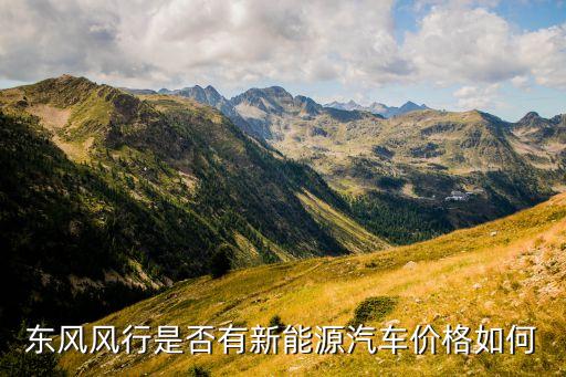 東風(fēng)風(fēng)行是否有新能源汽車價(jià)格如何