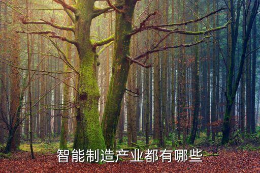 智能制造產業(yè)園簡介，智能制造產業(yè)都有哪些