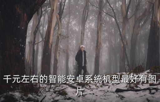 千元左右的智能安卓系統(tǒng)機型最好有圖片
