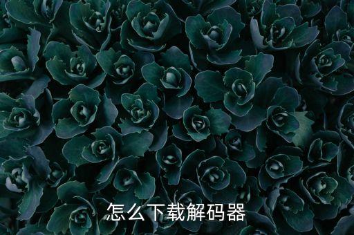 怎么下載解碼器